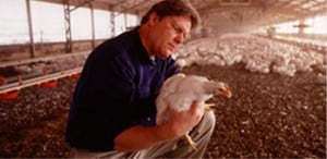 chicken_farm Chicken Farm