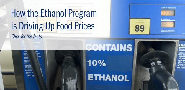 http://www.nationalchickencouncil.org/wp-content/uploads/2011/11/ethanol-promo-top.jpg