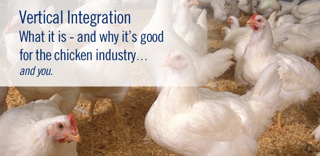 http://www.nationalchickencouncil.org/wp-content/uploads/2011/12/vertical-itnegration-home-top1.jpg