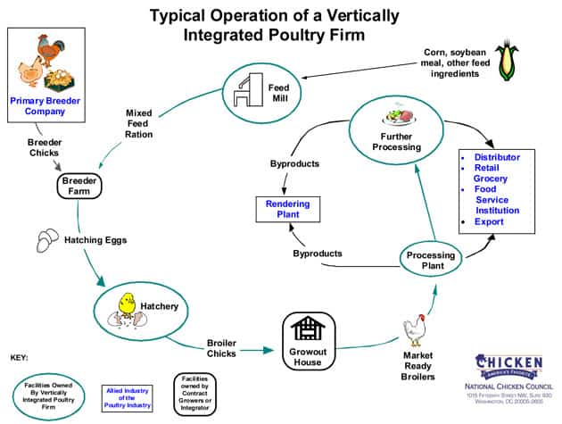 Broiler Chicken Feed Chart