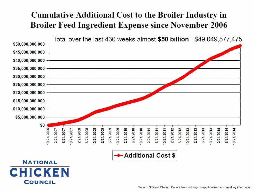 Addition Broiler Feed Cost