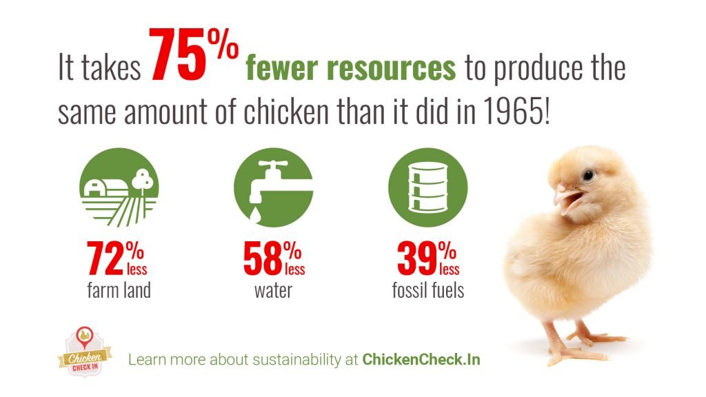 National Chicken Council Environment