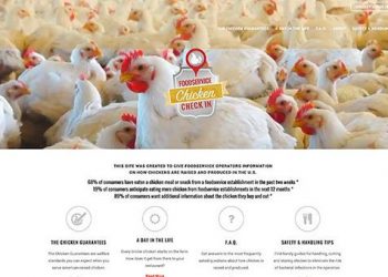 ChickenCheck.in website